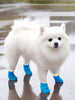 Waterproof Anti-Slip Pet Shoes test