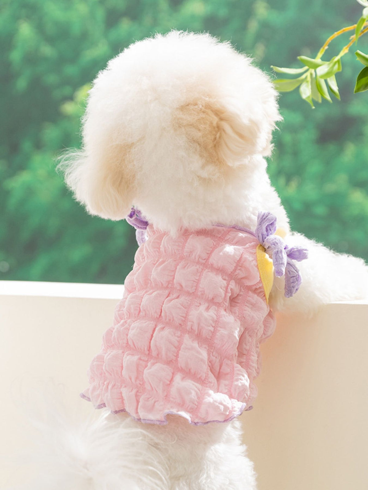 297296cc-ed84-40b6-9fb2-3f2403098c6f-Max