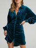 Collared Neck Button Down Long Sleeve Mini Dress test
