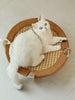 Round Woven Elevated Pet Bed test
