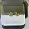 2 Carat Moissanite 925 Sterling Silver Stud Earrings test