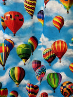 Hot Air Balloons Fit & Flare Dress
