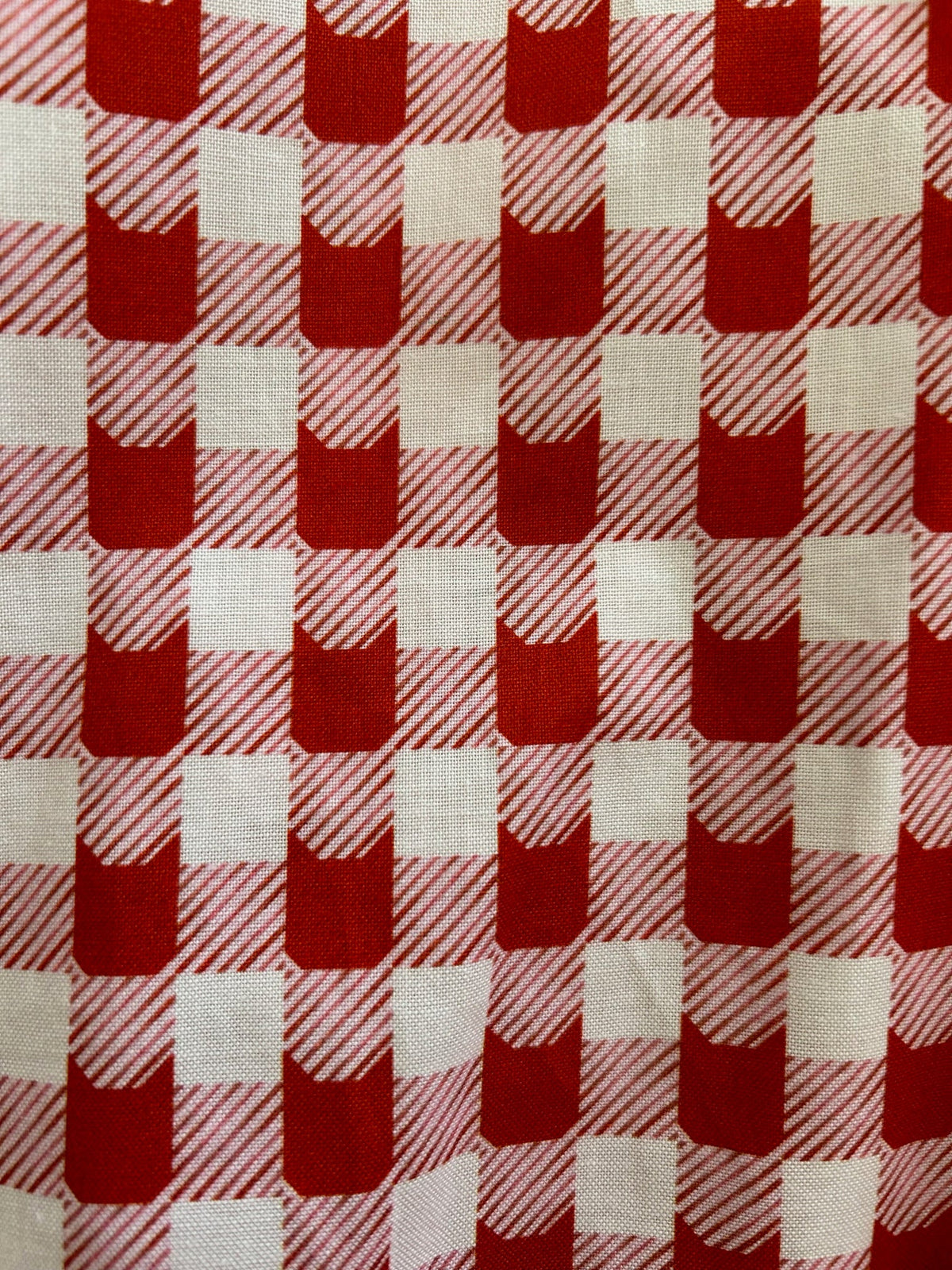 Red Check Kitties Skater Skirt