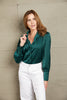 Lapel Collar Buttoned Puff Sleeve Shirt test