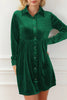 Ruched Button Up Collared Neck Long Sleeve Shirt Dress test