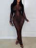 Sheer Mesh Rhinestone Embellished Long Sleeve Evening Dress test