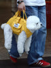 Portable Pet Carrier Harness test