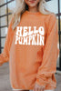 Round Neck Dropped Shoulder HELLO PUMPKIN Graphic Sweatshirt test