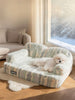 Soft Plush Pet Bed test