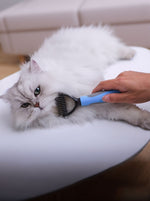 87c3415f-96e9-433e-8078-2b05dfcc83b8-Max