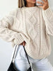 Full Size Cable-Knit Round Neck Sweater Plus Size test