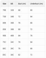 Butterfly lace Backless Style sexy bras Fashion Comfortable women's bra Front closure push-up bra