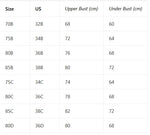 Women's Bra Everyday Solid Color Metal Front Clasp Push-Up Bra Lined Small Bust Appears Larger Sexy Bras