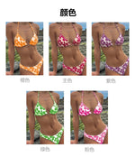 Micro Bikini 2026 Push Up Women Swimsuits Sexy Swimwear Brazilian Bikini Set Biquini Print Swimsuit Summer Brown Beachwear