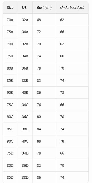 A B C D Cup Women's Plus size Sexy Bras Lace trim Push-Up bra for Women Side support and minimizer Comfortable Women's Lingerie