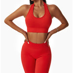 Sexy Halter Yoga Bra Gym Workout Push Up Running Sports Underwear Gathering Sports Vest Beautiful Back Fitness Top
