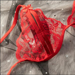 Transparent Sexy Lace Bra Set Exotic Sets Hollow Bra And PantyWomen Prints Intimates Underwear Porn Fancy Sexy Luxury Lingerie