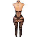 One Piece Crotchless Bodystocking EroticTransparent Sexy Lingerie Sexiest Bodysuit Mesh Hollow Bra Set Black Full Body Stockings