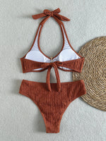 Sexy Metal Starfish Micro Bikini Set 2026 Women Brown Push Up Bra High Waist Swimsuit Summer Bathing Suit Two Piece Swimwear