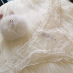 Sexy Panties Cute Rabbit Tail Women's Thong Lace Briefs Transparent Underwear Comfort Breathable Low Rise G string Underpants
