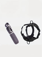 cc2d2c87-a316-4dd0-ac58-e7253514646c-Max