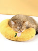 U Shaped Pet Nest test