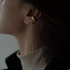 18K Gold-Plated Chain Fringe Earrings test