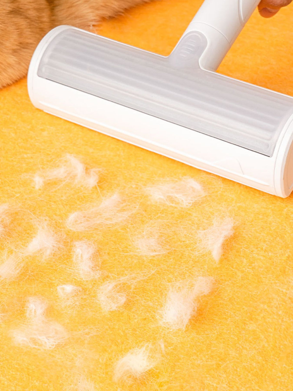 1fddd2b4-f568-4791-b350-c239352af556-Max