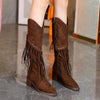 Fringed Point Toe Block Heel Boots test