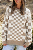 Checkered Round Neck Long Sleeve Sweater test