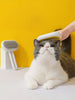 Portable Pet Hair Remover Brush test