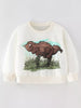 Children's Dinosaur Graphic Crew Neck Sweatshirt test