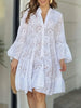 Ruffle Hem Eyelet Notched Long Sleeve Dress test
