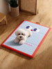 Cartoon Pattern Soft Pet Mat test
