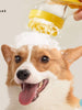 Soft Pet Shower Brush test