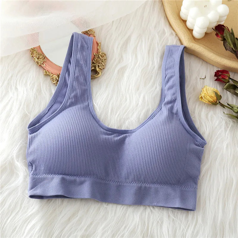 FINETOO Padded Tube Tops Sexy Crop Top Seamless Underwear U-Back Wrapped Chest Streetwear Female Fitness Tops Tank Lingerie 2020