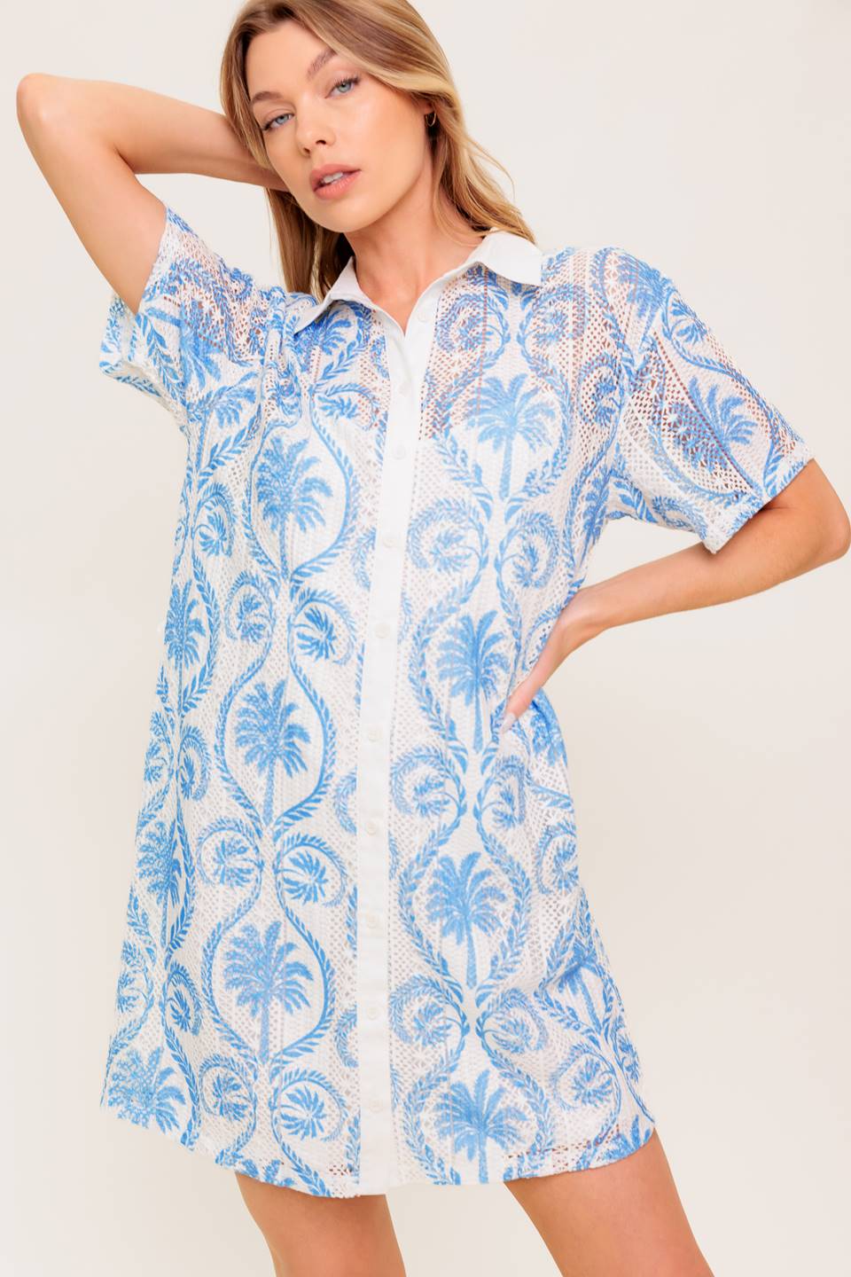 GENTLE SPIRIT WOVEN LACE MINI DRESS