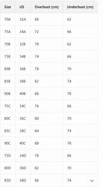 Sexy Women's A B C D Cup Large Size Lace Bras, Lace Splicing Underwire Bra, Push-Up and Side Breast Minimizing, Comfortable Women's Lingerie Bra