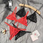 Transparent Sexy Lace Bra Set Exotic Sets Hollow Bra And PantyWomen Prints Intimates Underwear Porn Fancy Sexy Luxury Lingerie