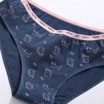 Women Printing Floral Panties 3Pcs/set Low-Rise Cotton Briefs Female Comfortable Underwear Female Soft Panties Lingerie M-2XL