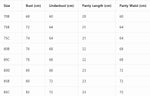 Single of Women's Underwear Set Sexy Lace Patchwork with Push Up Bra Romantic Sheer Women's Panties