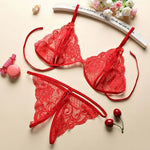 Lace Sexy Lingerie Bra Set Transparent Underwear Erotic Strappy HollowLingerie Set Hot Garter & Thong Women Porn White Bra Set