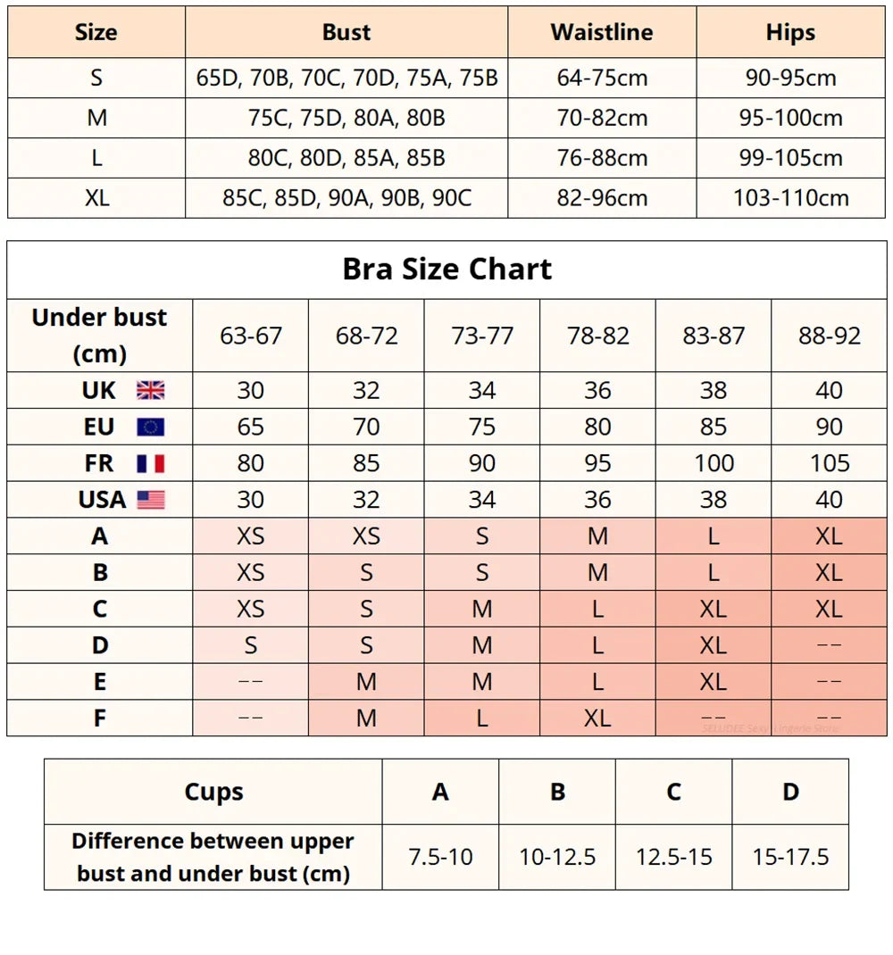 Embroidery Lingerie 3Pcs Sets Ultrathin Mesh Patchwork See Through Bras And Thongs Garter Suits Erotic Intimate Sexy Underwear