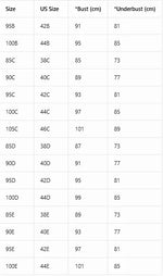 Large Size Women's Bra Thin Cup Push Up Bra Side-Breast-Enhancing Comfort Underwire Lingerie Adjustable Wide Straps Underwear