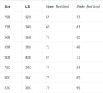 3PCS/Set Women's Floral Lace Bra Set French Underwear Comfortable Push up Bra Intimates Lingerie with Rhinestone Bow