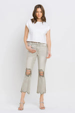 c706d934-b278-451c-a42d-2cd0bef35824-Max