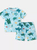 Children's Turtle Print Round Neck Tee and Shorts Set test