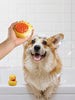 Soft Pet Shower Brush test