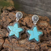 Artificial Turquoise Alloy Star Earrings test