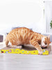 Durable Corrugated Cat Scratching Posts with Cartoon Pattern test
